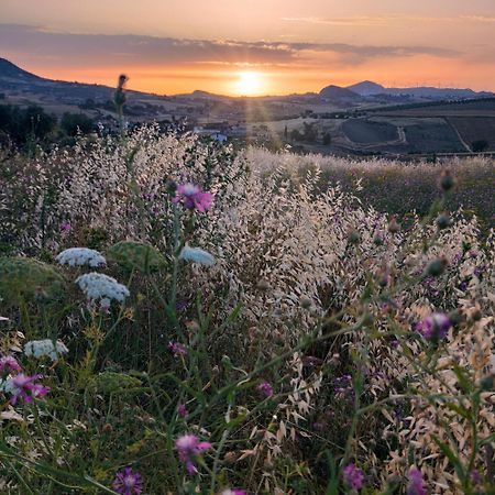 B&B Della Via Francigena Αγκριτζέντο Εξωτερικό φωτογραφία