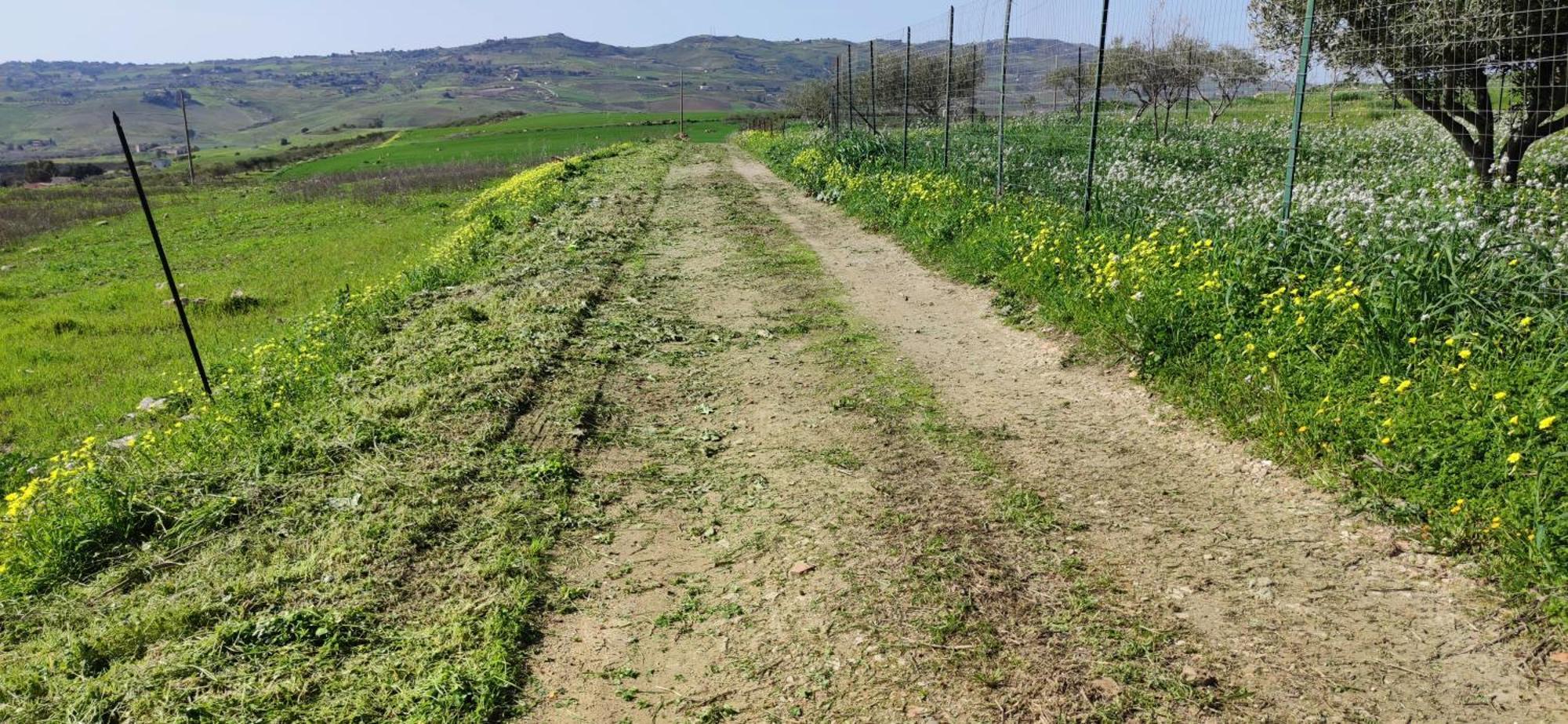 B&B Della Via Francigena Αγκριτζέντο Εξωτερικό φωτογραφία